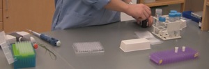 Diagnosing Plant Viruses in the Lab
