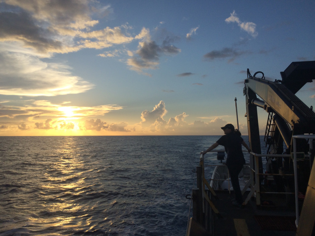 Emily Narrow onboard the Okeanos Explorer.