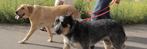 MMK: Structured Pack Walk